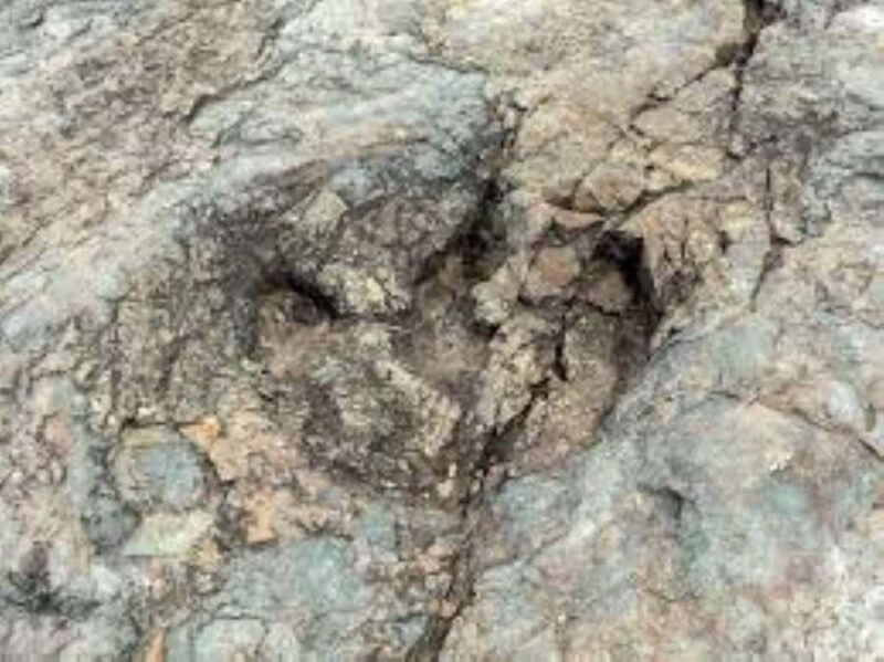 From Sucre | Maragua Crater and Dinosaur Footprints | 1 Day - The Practical Side: What’s Included and What to Consider