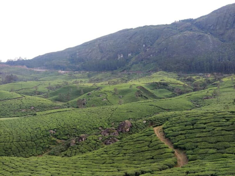 From Suryanelli: Kolukkumalai Tent Stay - Final Thoughts
