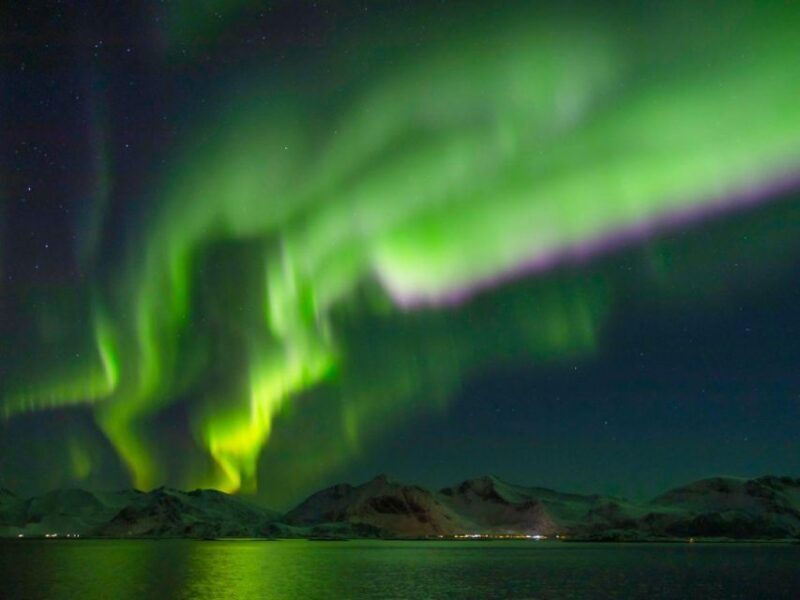 From Svolvær: Guided Northern Lights Tour by Van - Practical Tips for Travelers