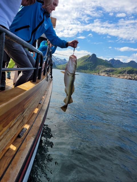 From Svolvaer: Lofoten Fishing Boat Cruise - Key Points