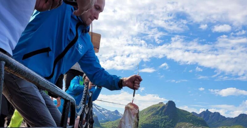 From Svolvaer: Lofoten Fishing Boat Cruise - A Deep Dive into the Lofoten Fishing Boat Cruise