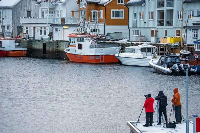 From Svolvær: Lofoten History and Sightseeing Tour - Who Will Love This Tour?