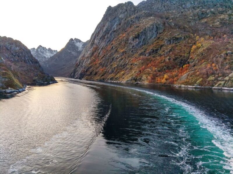 From Svolvær: Lofoten Islands Silent Trollfjord Cruise - Key Points