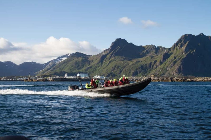 From Svolvær: Lofoten RIB Sea Eagle Safari Trollfjord Cruise - In-Depth Review of the Svolvær RIB Sea Eagle Safari