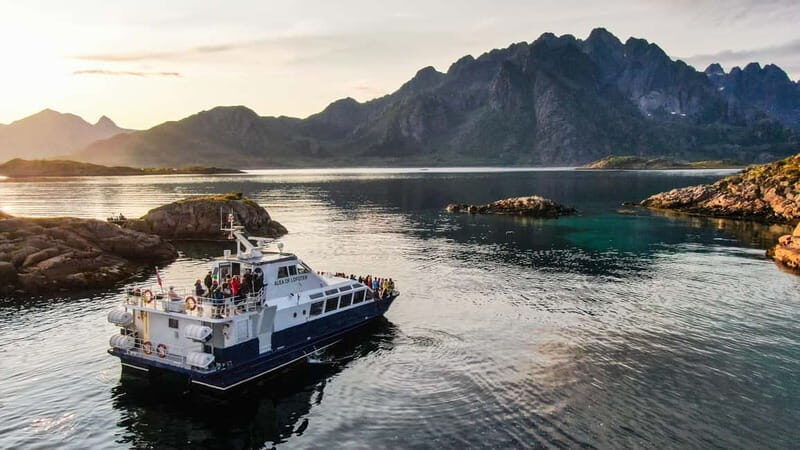 From Svolvær: Lofoten Trollfjord Cruise & Sea Eagle Safari - A Detailed Look at the Tour Experience