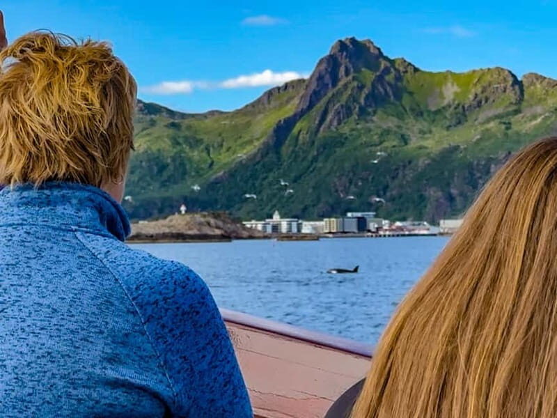 From Svolvær: Private Midnight Sun Yacht Cruise in Lofoten - Who Will Love This Tour?