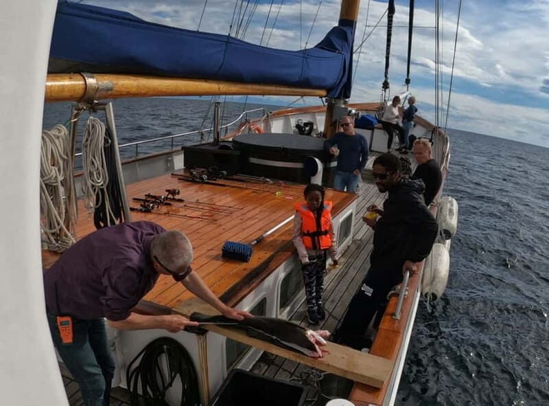 From Svolvær: Taste of Lofoten - Cultural Fishing Experience - Authenticity, Value, and Experience