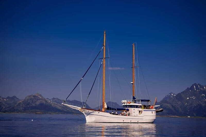From Svolvær: Taste of Lofoten - Cultural Fishing Experience - Frequently Asked Questions