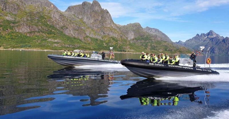 From Svolvaer: Trollfjorden Wildlife RIB Cruise - The Itinerary: What You Can Expect on This Wildlife RIB Cruise