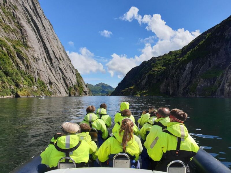 From Svolvaer: Trollfjorden Wildlife RIB Cruise - Wildlife Encounters: Eagles, Seals, and More