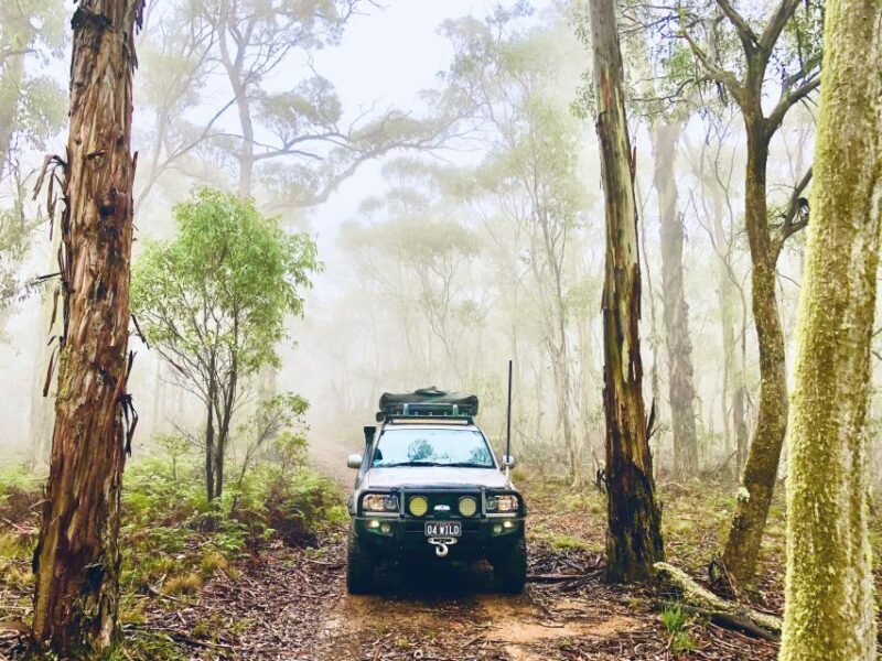 From Sydney: 2-Day Blue Mountains Camping 4WD & River Cruise - Discover the Blue Mountains in Style: 2-Day Camping, 4WD Safari & Scenic River Cruise