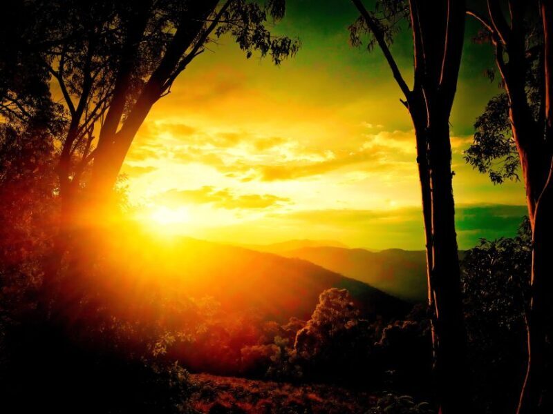 From Sydney: 2-Day Blue Mountains Camping 4WD & River Cruise - Final Thoughts