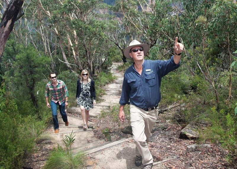 From Sydney: Blue Mountains Bushwalks & Featherdale Tour - Key Points