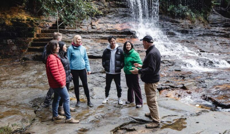 From Sydney: Blue Mountains Bushwalks & Featherdale Tour - Scenic Walks and Waterfalls: Going Beyond the Photos