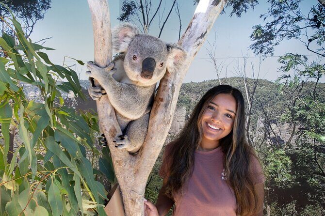 From Sydney Blue Mountains Day Tour and Hop-on, Hop-off Bus Tour - Transportation, Timing, and Group Experience