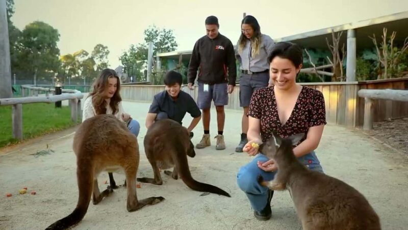 From Sydney: Blue Mountains Day Tour & Hop-on, Hop-off Tour - FAQ
