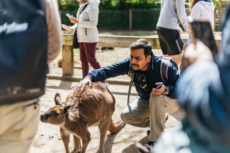 From Sydney: Blue Mountains Full-Day Trip - Detailed Experience Breakdown