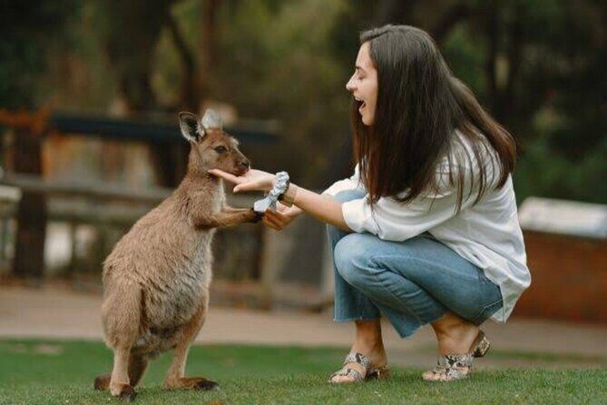 From Sydney Blue Mountains Private Tour with Wildlife Park - Exploring the Blue Mountains: A Genuine Guide to the Private Tour Experience