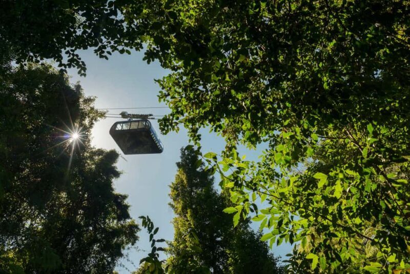 From Sydney: Blue Mountains, Scenic Railway, & Sydney Zoo - Frequently Asked Questions