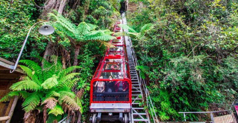 From Sydney: Blue Mountains, Scenic World, Zoo, & Ferry Ride - Key Points