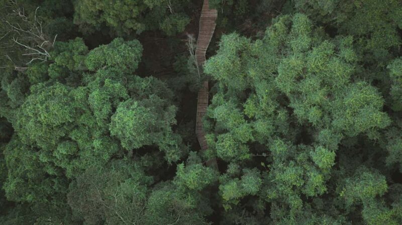 From Sydney: Blue Mountains, Sydney Zoo & Walking Tour - Final Thoughts