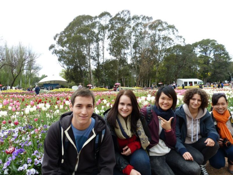 From Sydney: Canberra City Highlights and Floriade Day Tour - Potential Drawbacks and Considerations