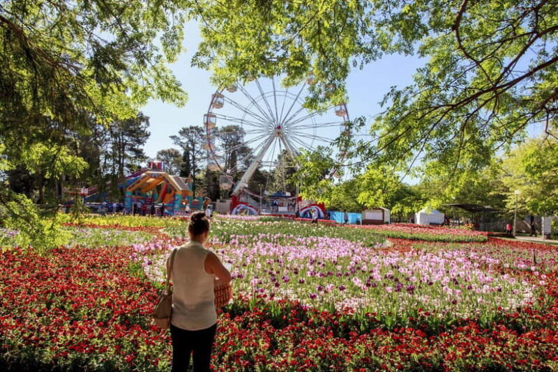 From Sydney: Canberra Floriade Festival Includes Lunch - Discovering the Highlights: A Deep Dive into the Tour