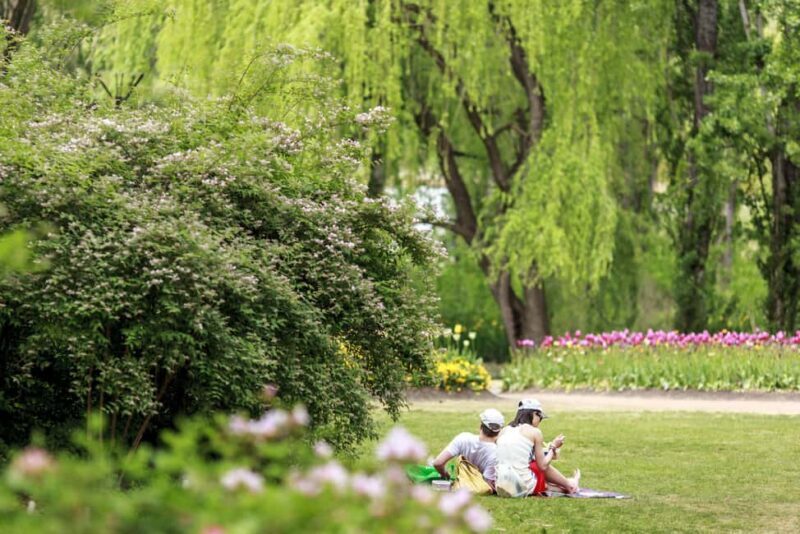 From Sydney: Canberra Floriade Festival Includes Lunch - Authentic Experiences and Real Guest Insights