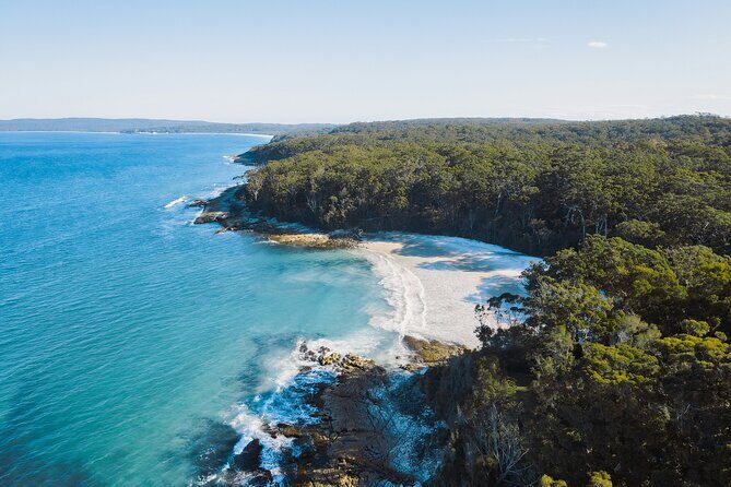 From Sydney: Day Tour to Jervis Bay with Beaches and Koalas - A Day in Jervis Bay: Beaches, Wildlife, and Coastal Wonders from Sydney