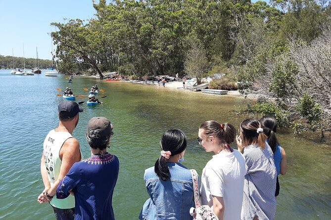 From Sydney: Day Tour to Jervis Bay with Beaches and Koalas - The Sum Up: Who Will Love This Tour?