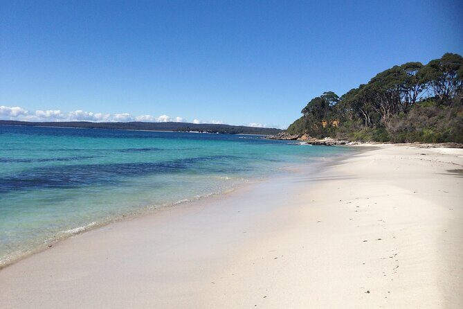 From Sydney: Day Tour to Jervis Bay with Beaches and Koalas - FAQ