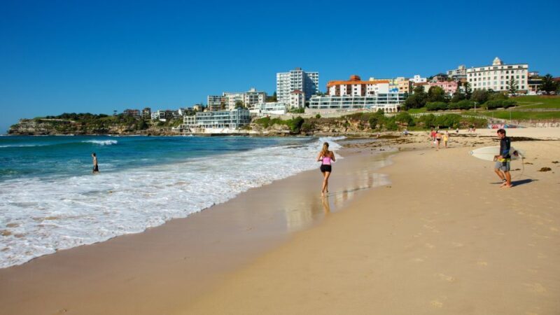 From Sydney: Full Day Tour of Golden Beaches and Ocean Vista - The Sum Up