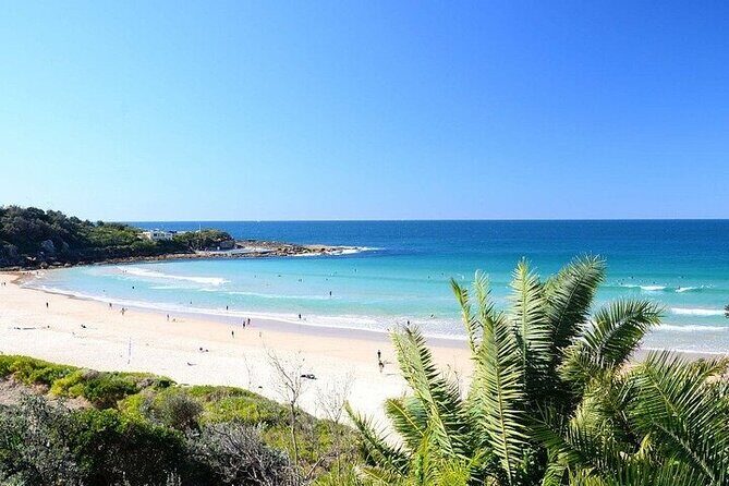 From Sydney: Full Day Tour of Golden Beaches and Ocean Vistas - A Deep Dive into the Experience