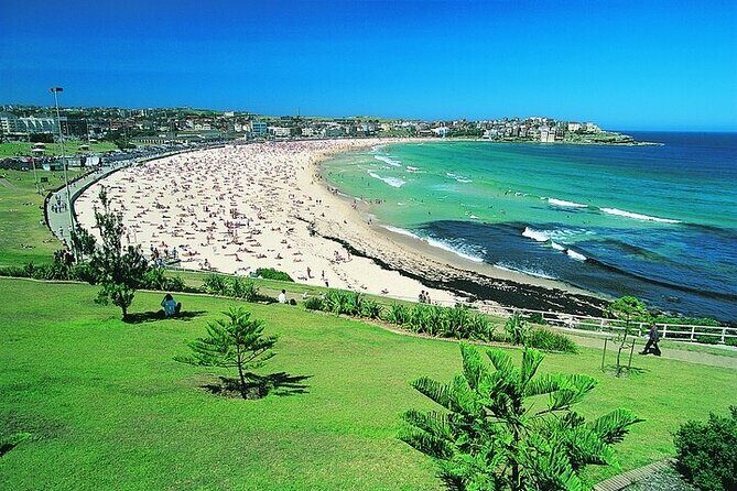 From Sydney: Full Day Tour of Golden Beaches and Ocean Vistas - Who Is This Tour Best For?