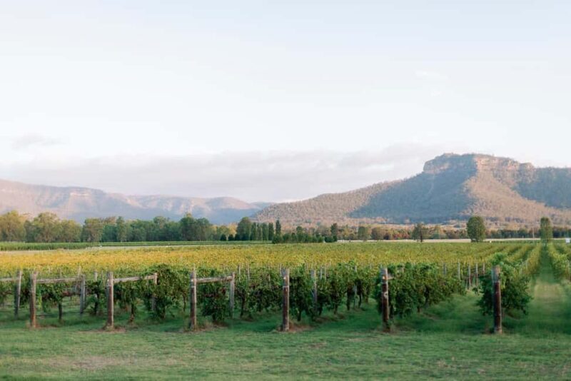 From Sydney: Hunter Valley Boutique Wine Tasting Tour - Key Points