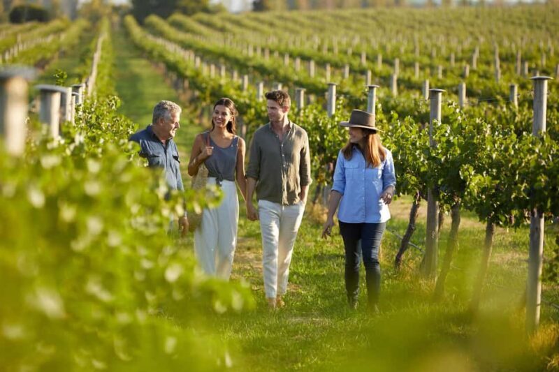 From Sydney: Hunter Valley Boutique Wine Tasting Tour - The Details of the Hunter Valley Boutique Wine Tasting Tour