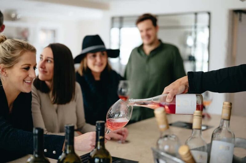 From Sydney: Hunter Valley Boutique Wine Tasting Tour - The Sum Up: Who Is This Tour Perfect For?