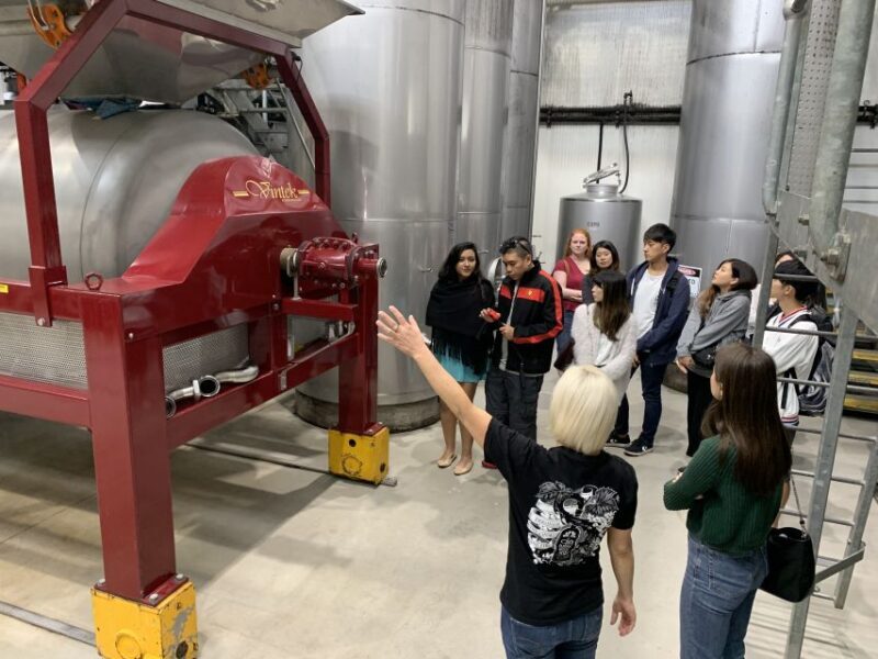 From Sydney: Hunter Valley Multi-Brewery Tour with Lunch - Authenticity and Value