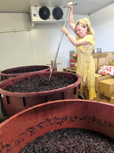 From Sydney: Hunter Valley Wine, Gin & Food Tastings Tour - Exploring the Hunter Valley Tour in Detail