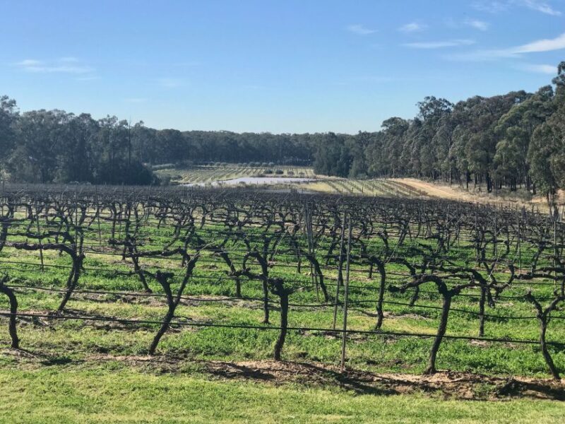 From: Sydney - Hunter Valley Wine Tasting Guided Day Tour - Why This Tour Offers Great Value