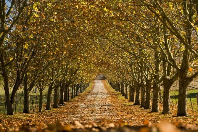 From Sydney Private Tour of Waterfalls Wineries and Wildlife - FAQs