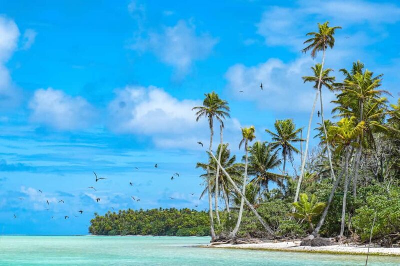 From Tahiti: Tetiaroa Island Tour by Sailing Catamaran - From Tahiti: Tetiaroa Island Tour by Sailing Catamaran