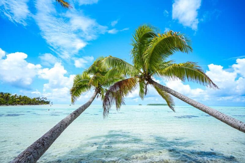 From Tahiti: Tetiaroa Island Tour by Sailing Catamaran - Key Points