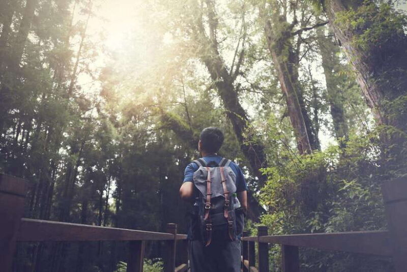 From Taipei City: 3-Day Sun Moon Lake & Alishan Private Tour - Final Thoughts