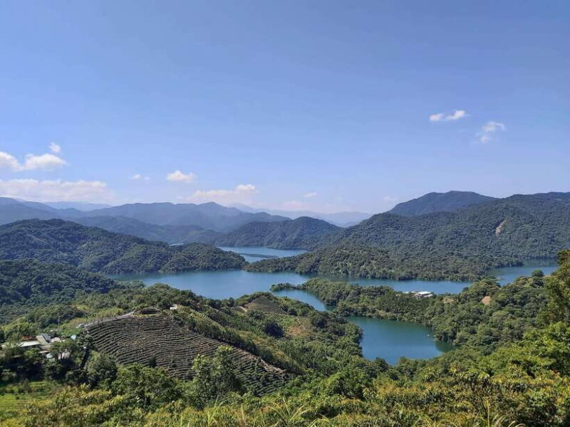 From Taipei: Pinglin Tea Culture and Maokong Guided Day Tour - Key Points