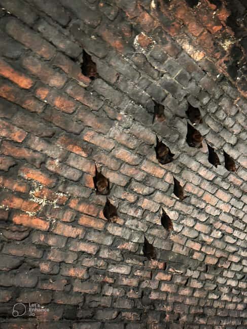 From Taipei: Sandiaoling & Makang Private Guided Day Trip - FAQ