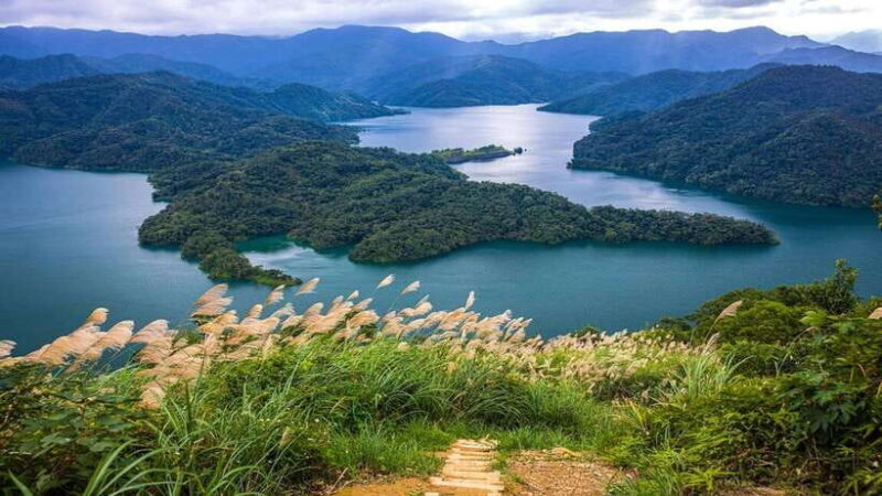 From Taipei: Thousand-Island Lake & Tea Museum Private Tour - Who Should Consider This Tour?