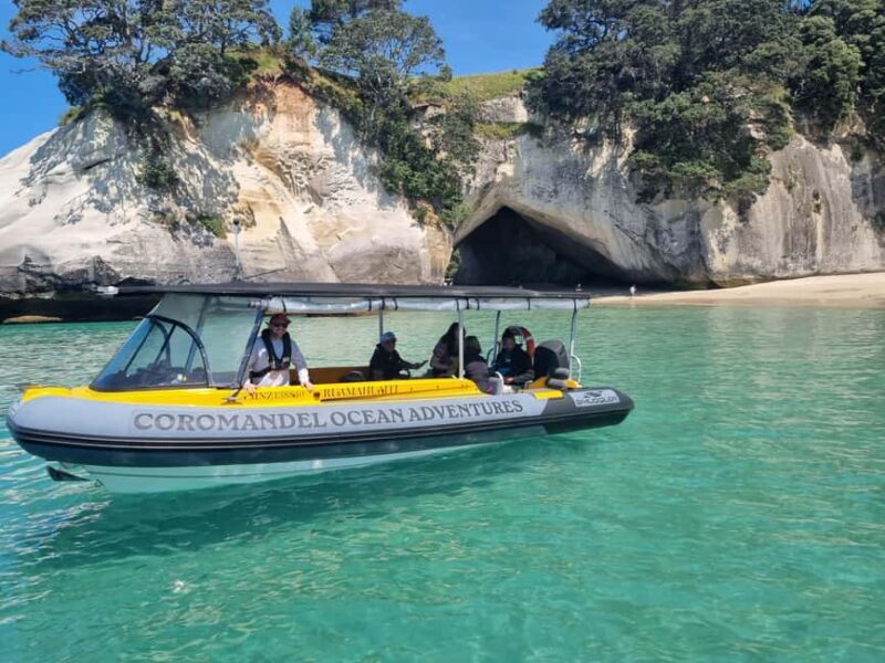 From Tairua: 2 Hour Cathedral Cove Tour with Local Guide - Authentic Feedback From Travelers