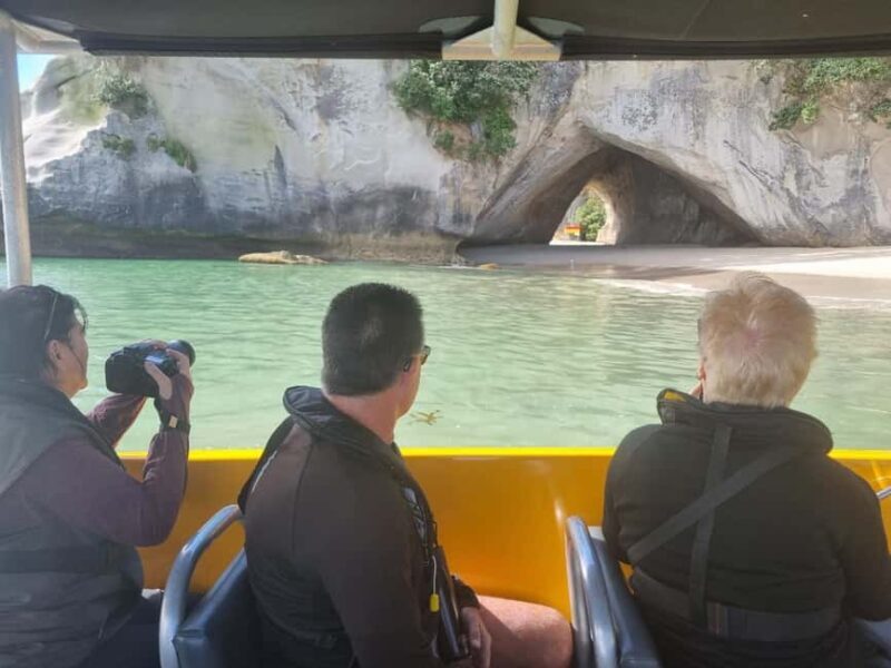From Tairua: 2 Hour Cathedral Cove Tour with Local Guide - Final Thoughts: Who Should Consider This Tour?