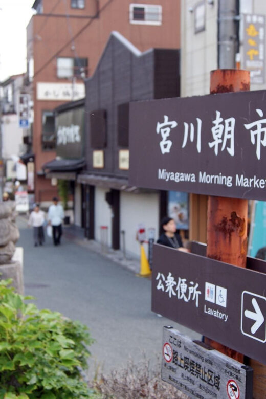 From Takayama: Foodie Adventure, Showa Era, & the Old Town - Final Thoughts